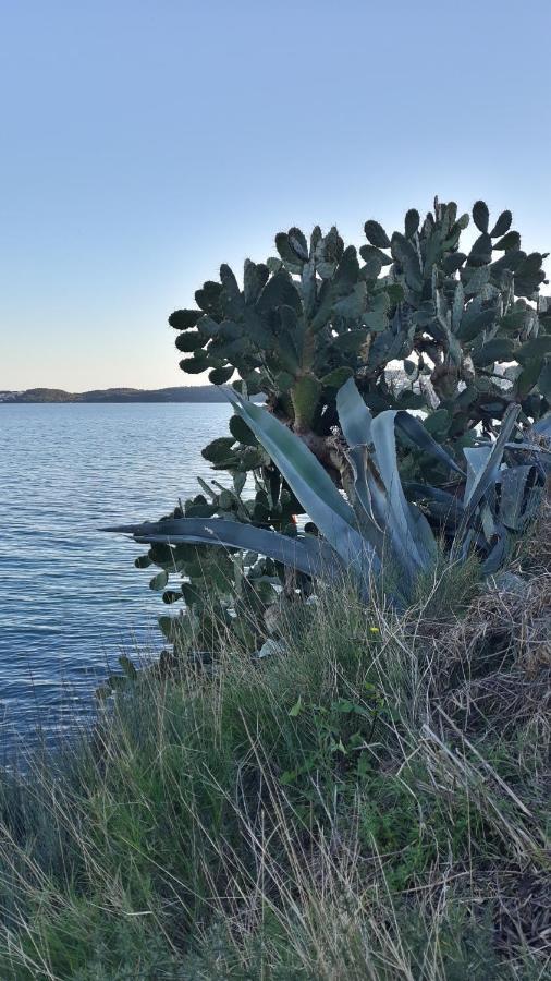 Villa Calypso Trogir Bagian luar foto