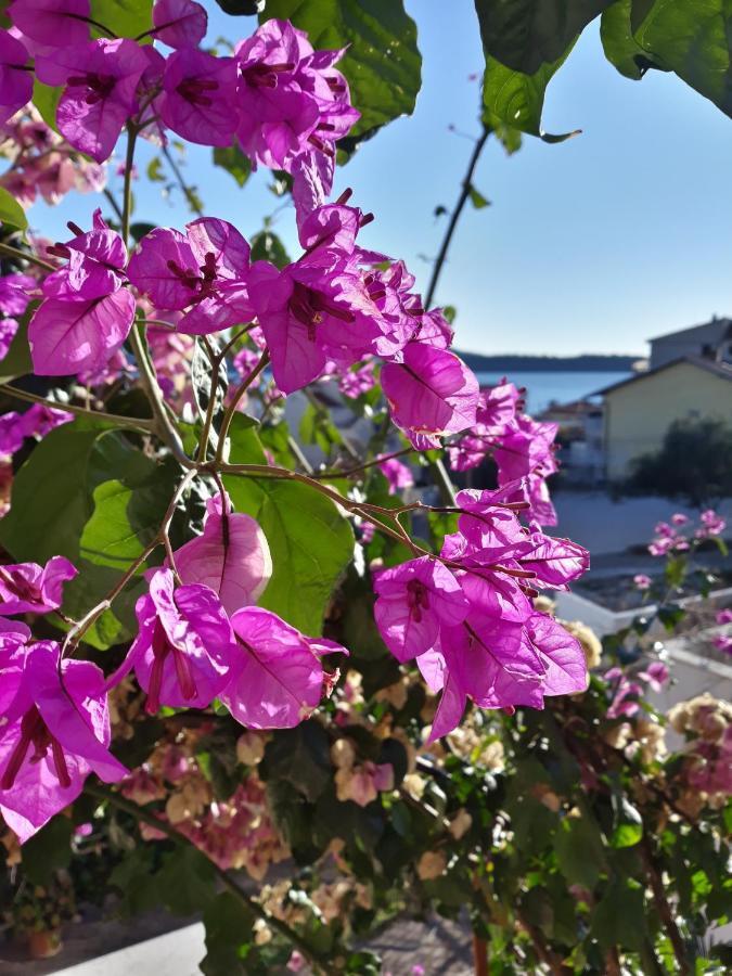 Villa Calypso Trogir Bagian luar foto